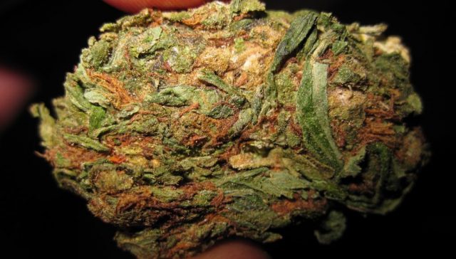 weed 2
