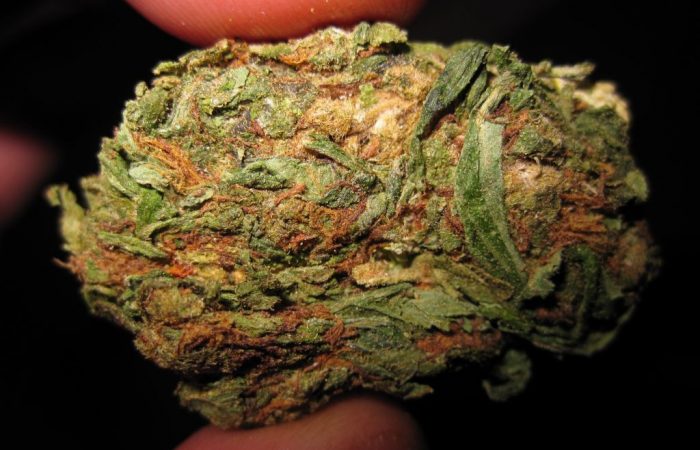 weed 2