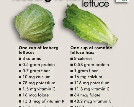 iceberg romaine