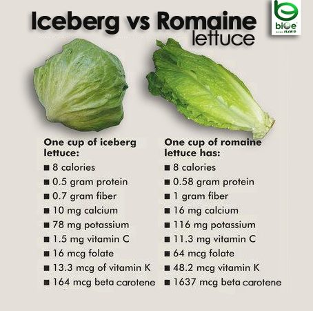 iceberg romaine