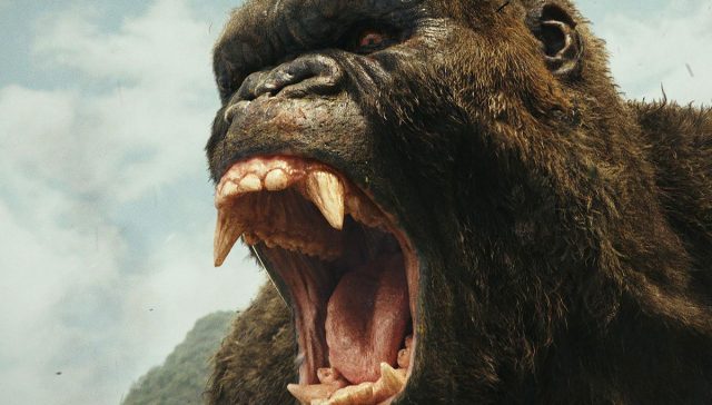 kIngKong Marketing