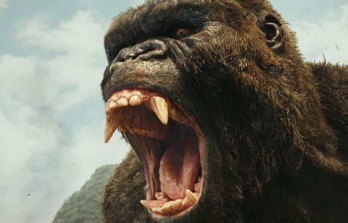 kIngKong Marketing
